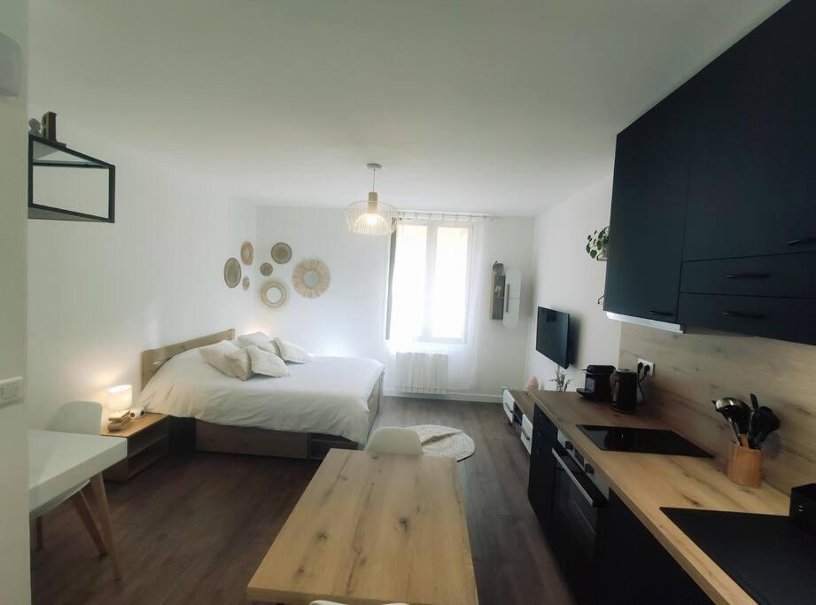 Annecy Vieille Ville, Superbe Appartement Au Calme المظهر الخارجي الصورة